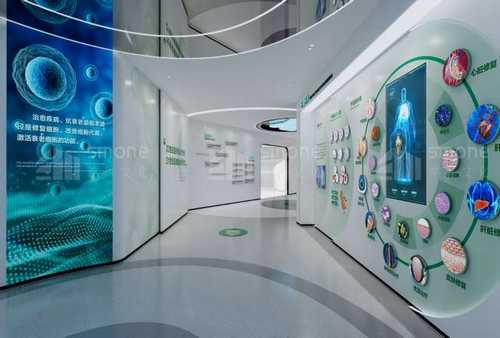 岳阳SEO优化网络推广多少钱