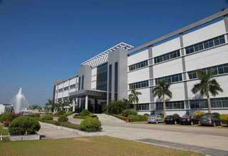 福建PANC-1细胞中乔新舟