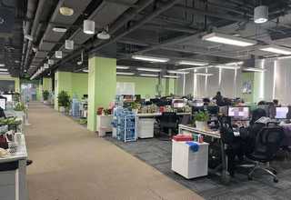 金牛区专业甲醛检测服务